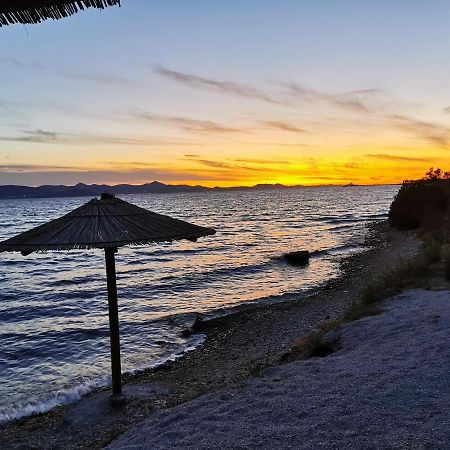 Apartments Vila Moli Bibinje Dış mekan fotoğraf